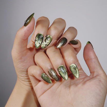 Starry Olive